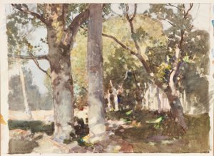 Un raggio di luce da Harry Watson